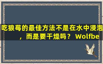 吃狼莓的最佳方法不是在水中浸泡，而是要干燥吗？ Wolfberry有什么好处？
